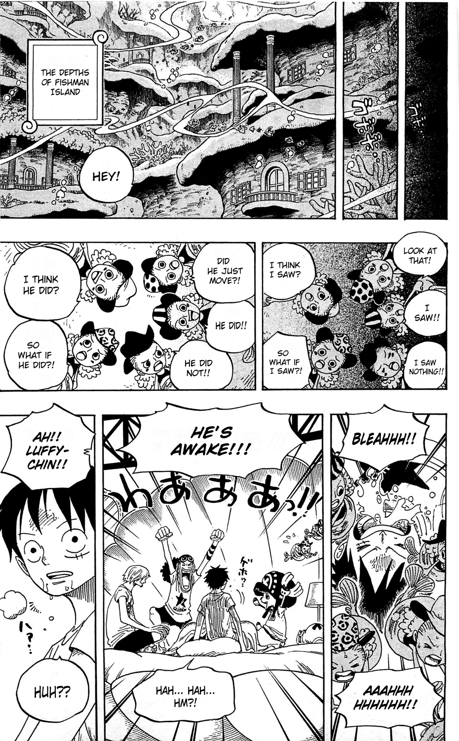 One Piece, Chapter 608 image 09